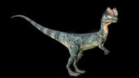 Dilophosaurus 3D Model