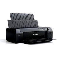 Canon Pro 300