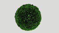 Buxus Ball