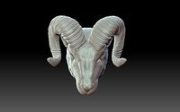 The head of a mountain ram | 3D