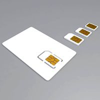 Different Sizes Sim Cards