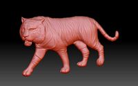 Tiger | 3D