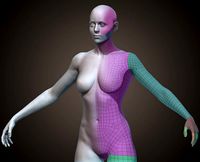 Female BaseMesh