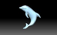 Dolphin | 3D