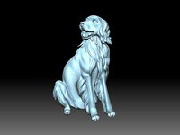 Labrador | 3D