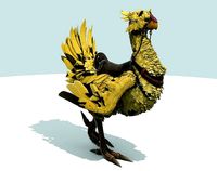Chocobo Final Fantasy 7 Remake | 3D