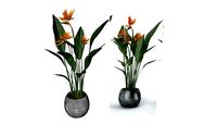 Conjunto Vasos decorativo laranja