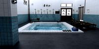 The Public Bath House
