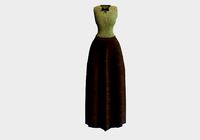 long old dress