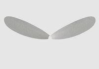 simple transparent wings