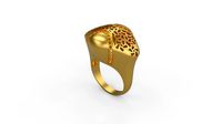 Ultra Vision Ring 437 | 3D