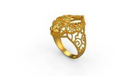 Ultra Vision Ring 418 | 3D
