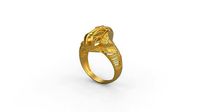 Ultra Vision Ring 393 | 3D
