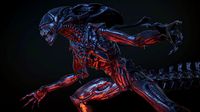 Queen Alien