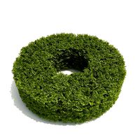 plants collection25