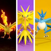 pokemon legendary birds pack | 3D