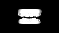 Teeth Dentures 3D file | 3D