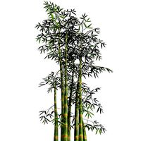 Bamboo Thicket Plant Tree Low Poly