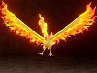 pokemon moltres | 3D