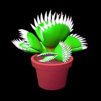 Potted Carnivorous Plant low poly | 3D