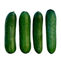 baby cucumber