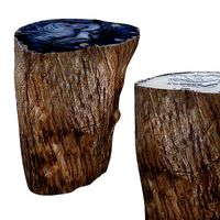 Wood fossil stool