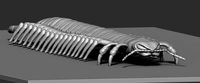 Centipede model | 3D
