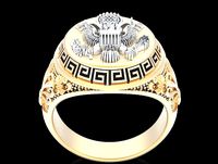 American eagle man ring silver gold jewelry printable 3D model | 3D
