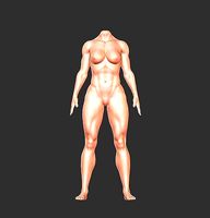 body muscular  3D model  women  girl  print  bjd  character