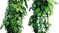 Vertical garden 29