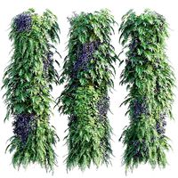 Vertical garden 30