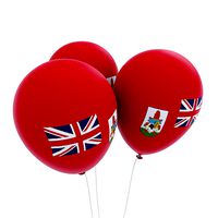 Bermuda country balloon low poly 3d model