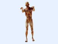Walking Mummy Low-poly
