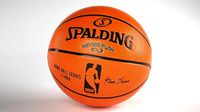 Official Spalding Basketball