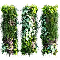 Vertical garden 25