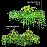Indoor Hanging Plants - Set 05 and Set 06