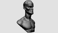 Sinestro Bust | 3D