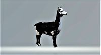 Alpaka   Animal  | 3D