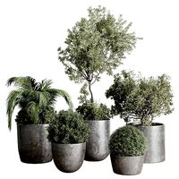set Outdoor Indoor plant concrete dirt vase pot tree bush palm
