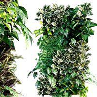 Vertical garden 21