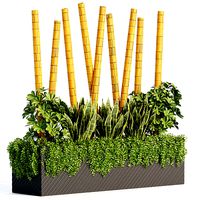 indoor plants collection vol 83