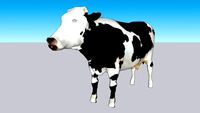 sapi ternak