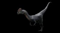 Dilophosaurus Dinosaur