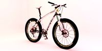 Mountain Bike 3D Model
