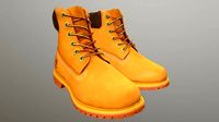 TIMBERLAND SHOES PBR