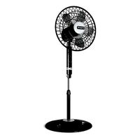 Fan Magnit