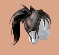 Hair Ponytail
