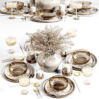 tableware005