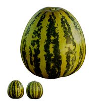 Melon