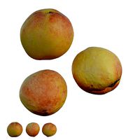 Peach 02